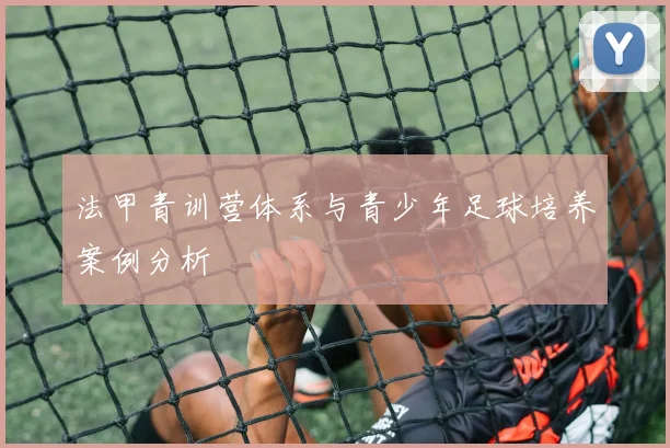 法甲青训营体系与青少年足球培养案例分析
